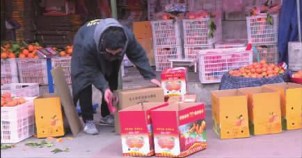 工作人员忙着对恋橙打包销售。